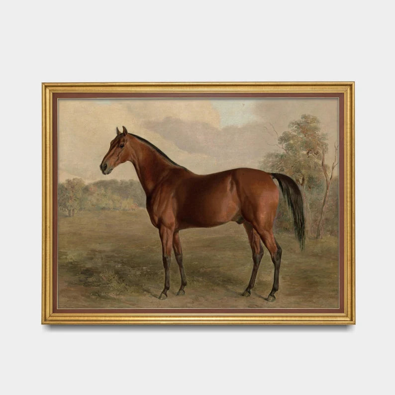 Vintage Horse : Antique Equestrian Art , Farmhouse Decor