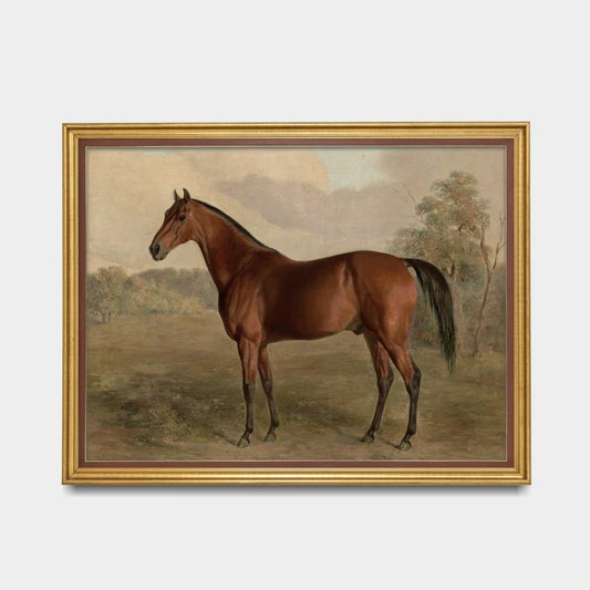 Vintage Horse : Antique Equestrian Art , Farmhouse Decor