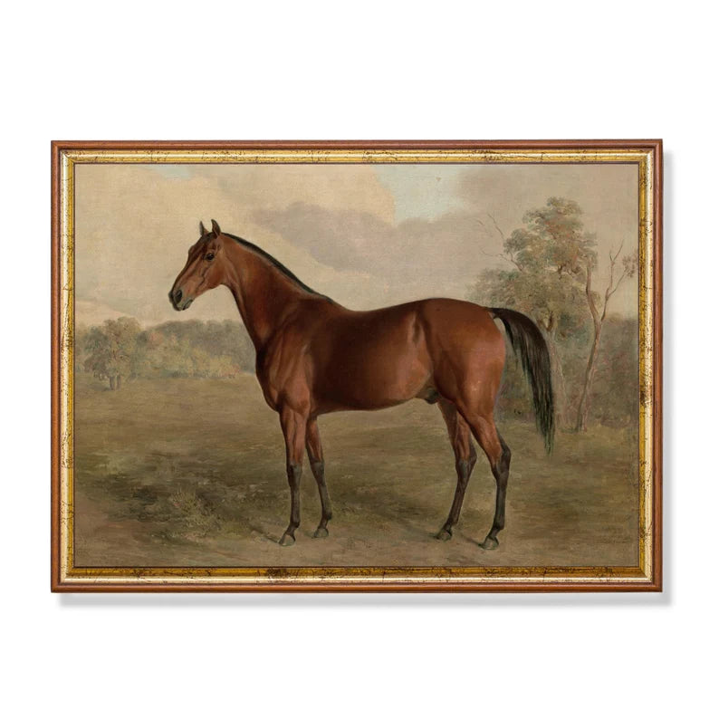 Vintage Horse : Antique Equestrian Art , Farmhouse Decor