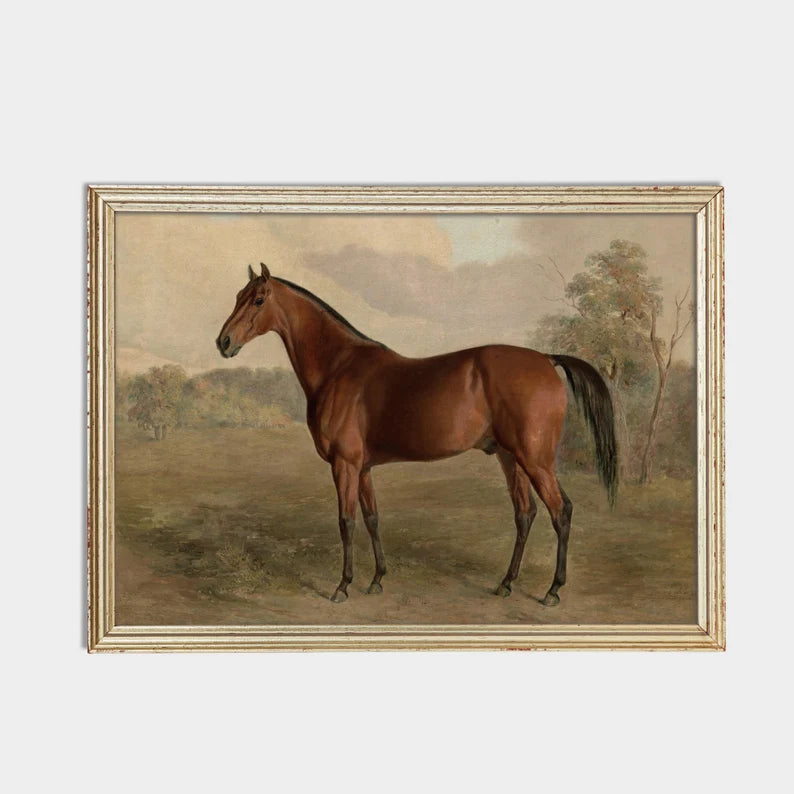 Vintage Horse : Antique Equestrian Art , Farmhouse Decor